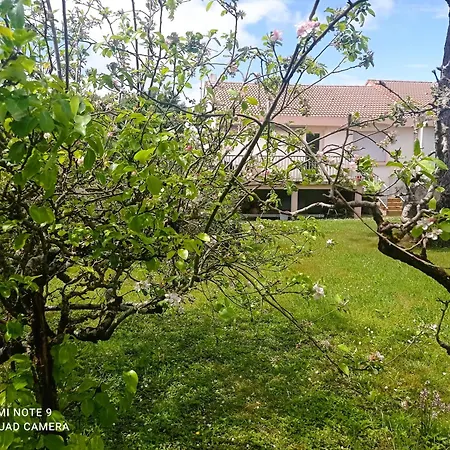 Maison Avec Jardin A 3 Minutes De La 펜션 생미셸셰프셰프